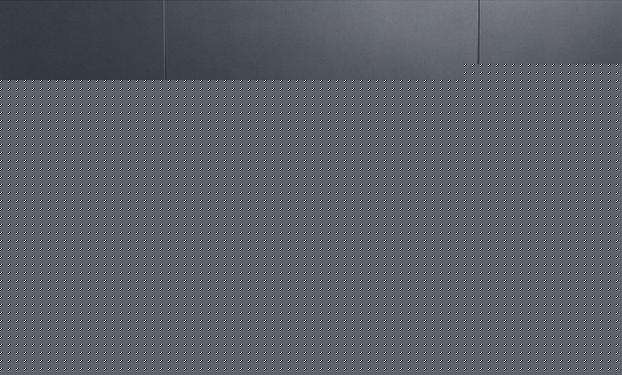 哪一天我们会飞