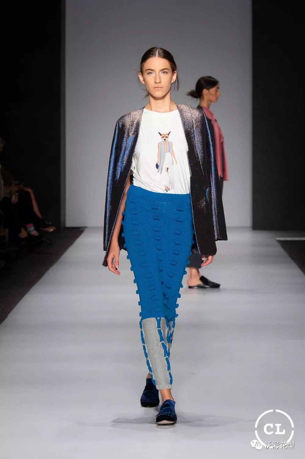 关于史蒂夫的一切