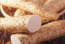 凿空者之使命召唤