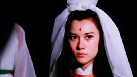 克隆特工之极限对决