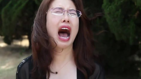 六扇门之御前盗圣