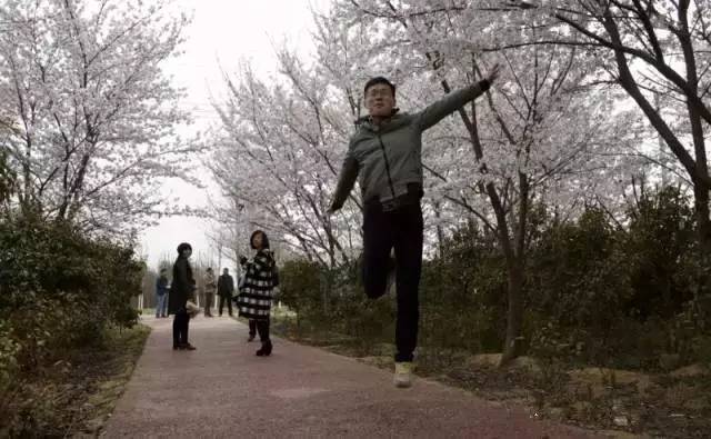 光荣之路上的狗