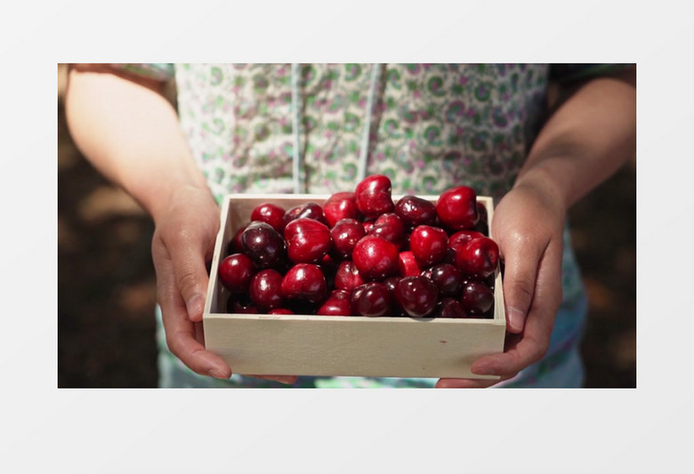 全息游戏:恋爱世界