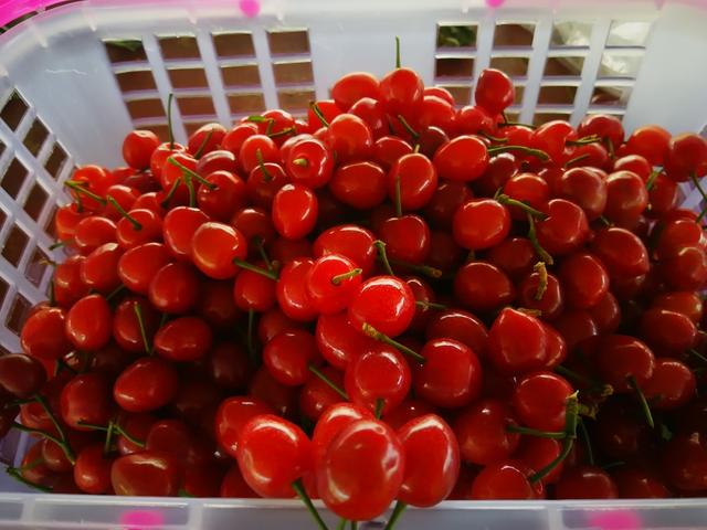 城市猎人（原声版）