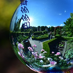 再见阿龙 普通话版