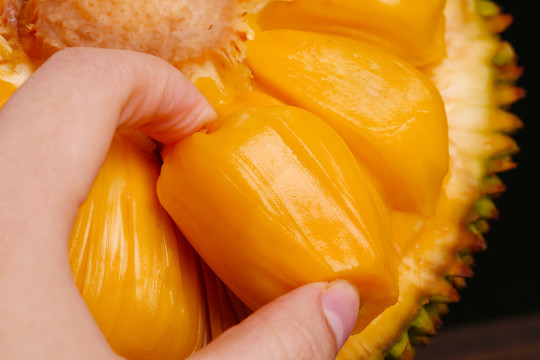 名侦探柯南：天空的遇难船