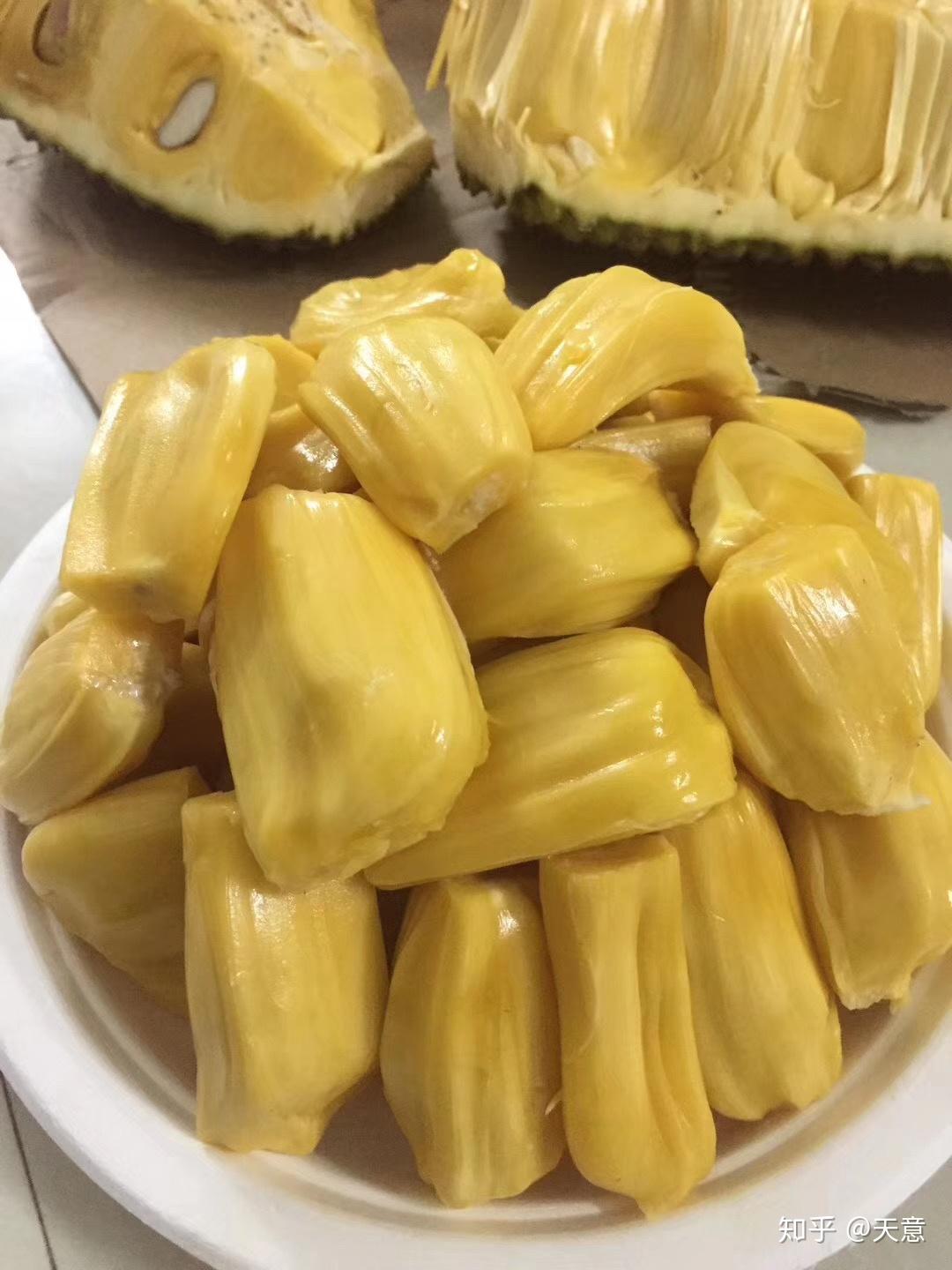 兵临城下之决战要塞