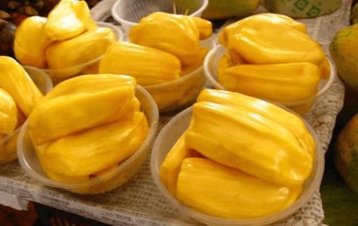 冷血追击(国语版)